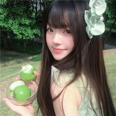 藤本树